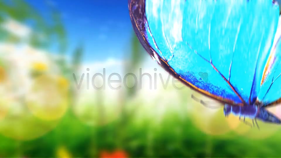Logo Featuring Butterflies in Natural Environment - Download Videohive 8395234
