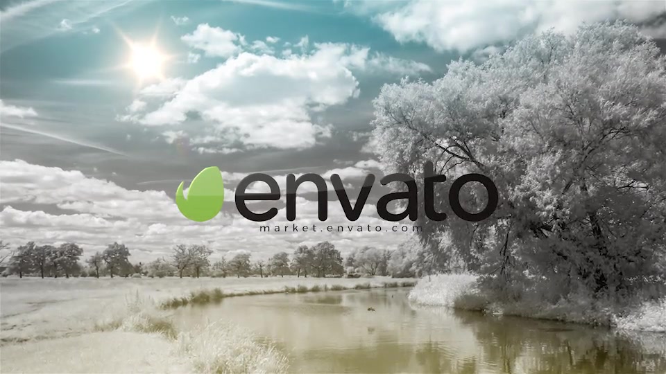Logo Ident - Download Videohive 19907760