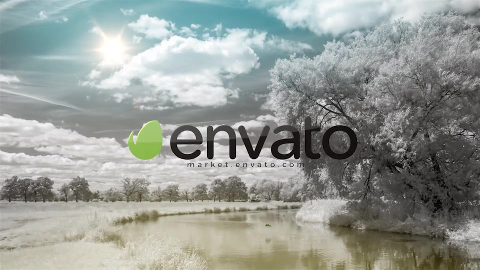 Logo Ident - Download Videohive 19907760