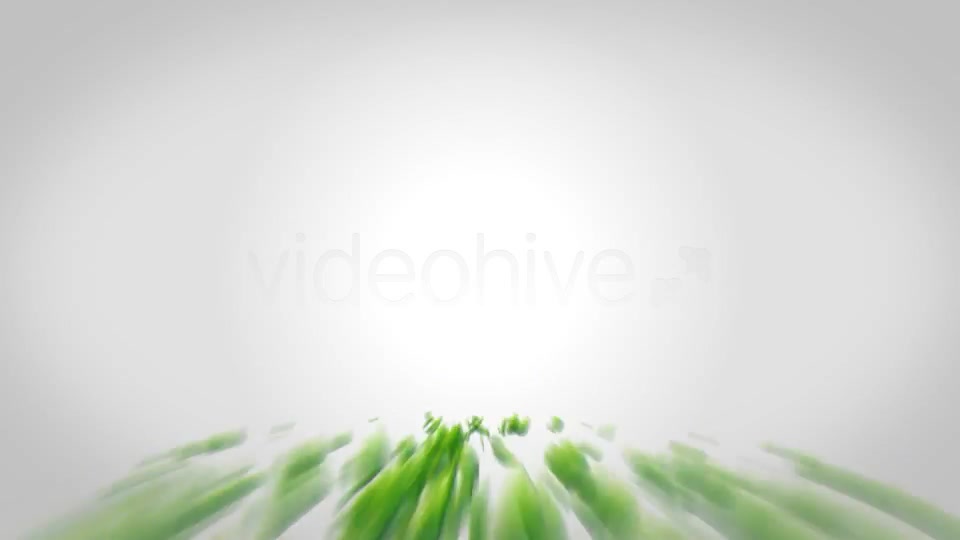Logo Identi Engine Videohive 1934637 After Effects Image 4