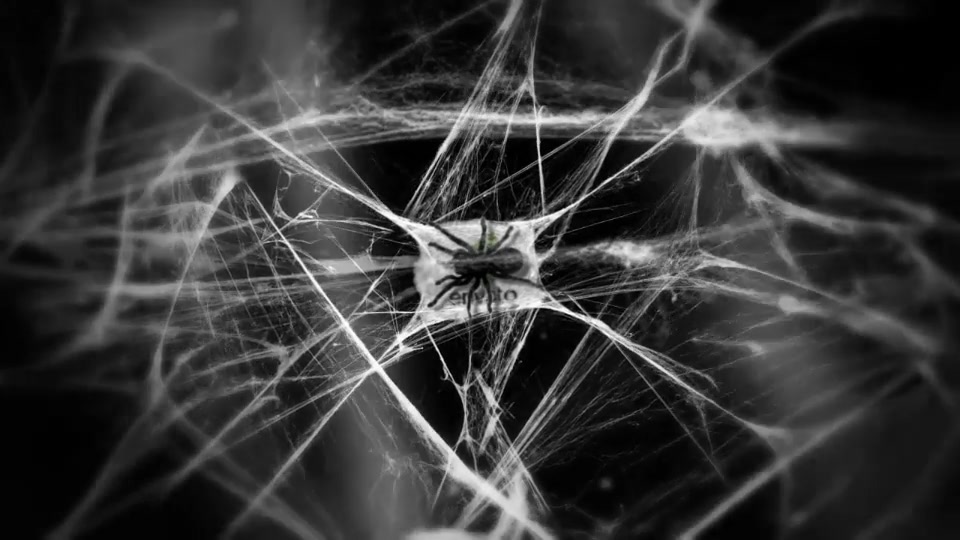 Logo In Cobwebs - Download Videohive 17809996