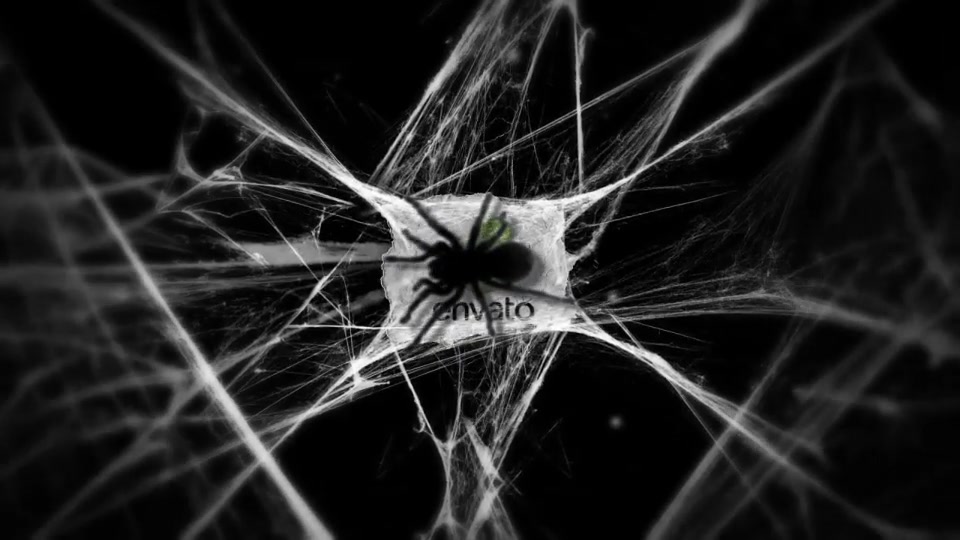 Logo In Cobwebs - Download Videohive 17809996