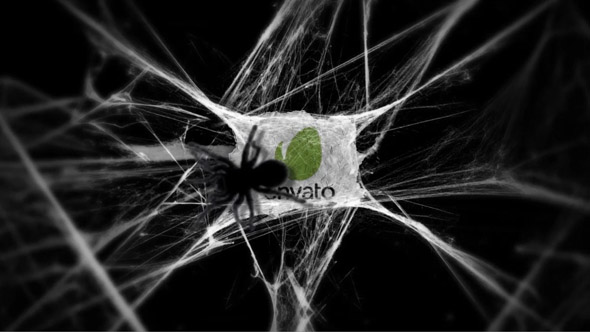 Logo In Cobwebs - Download Videohive 17809996