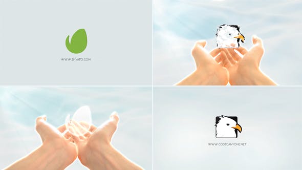 Logo In Hands - Download Videohive 15408392
