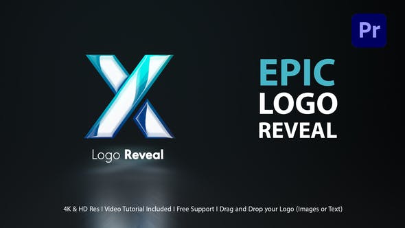 Logo Reveal - 41950978 Download Videohive