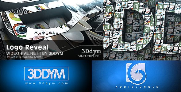 Logo Reveal - Download Videohive 19162943