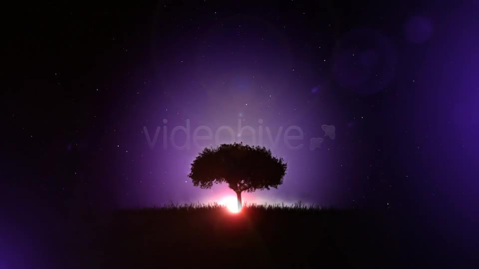 Logo Soul Meditation and Yoga - Download Videohive 2714514