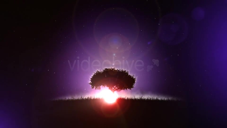 Logo Soul Meditation and Yoga - Download Videohive 2714514