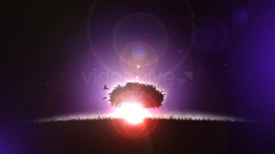 Logo Soul Meditation and Yoga - Download Videohive 2714514