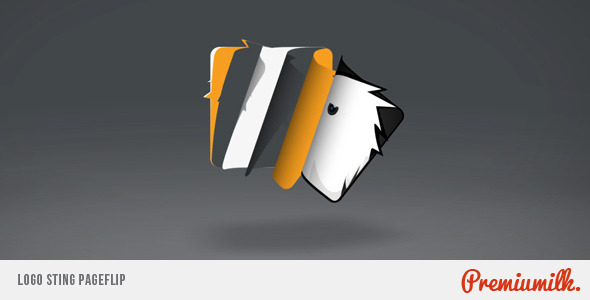 Logo Sting Page Flip - Download Videohive 6608966
