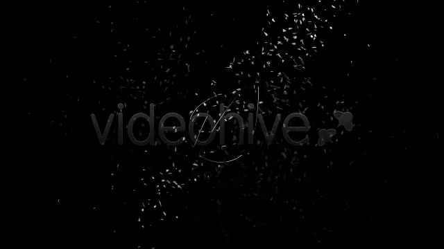 Logo Transformation - Download Videohive 2033300