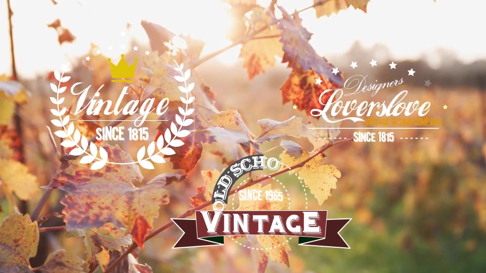 Logos&Titles - Download Videohive 9719910