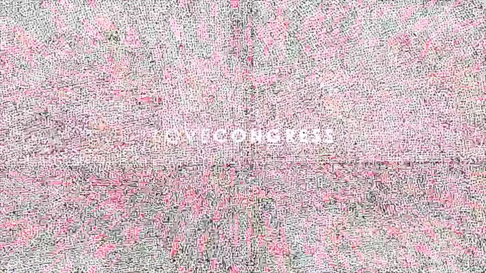 Love Congress - Download Videohive 14621149