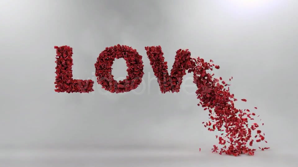 Love Leaves - Download Videohive 1493344