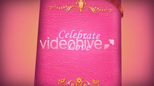 Love Photo Album 12 - Download Videohive 84332