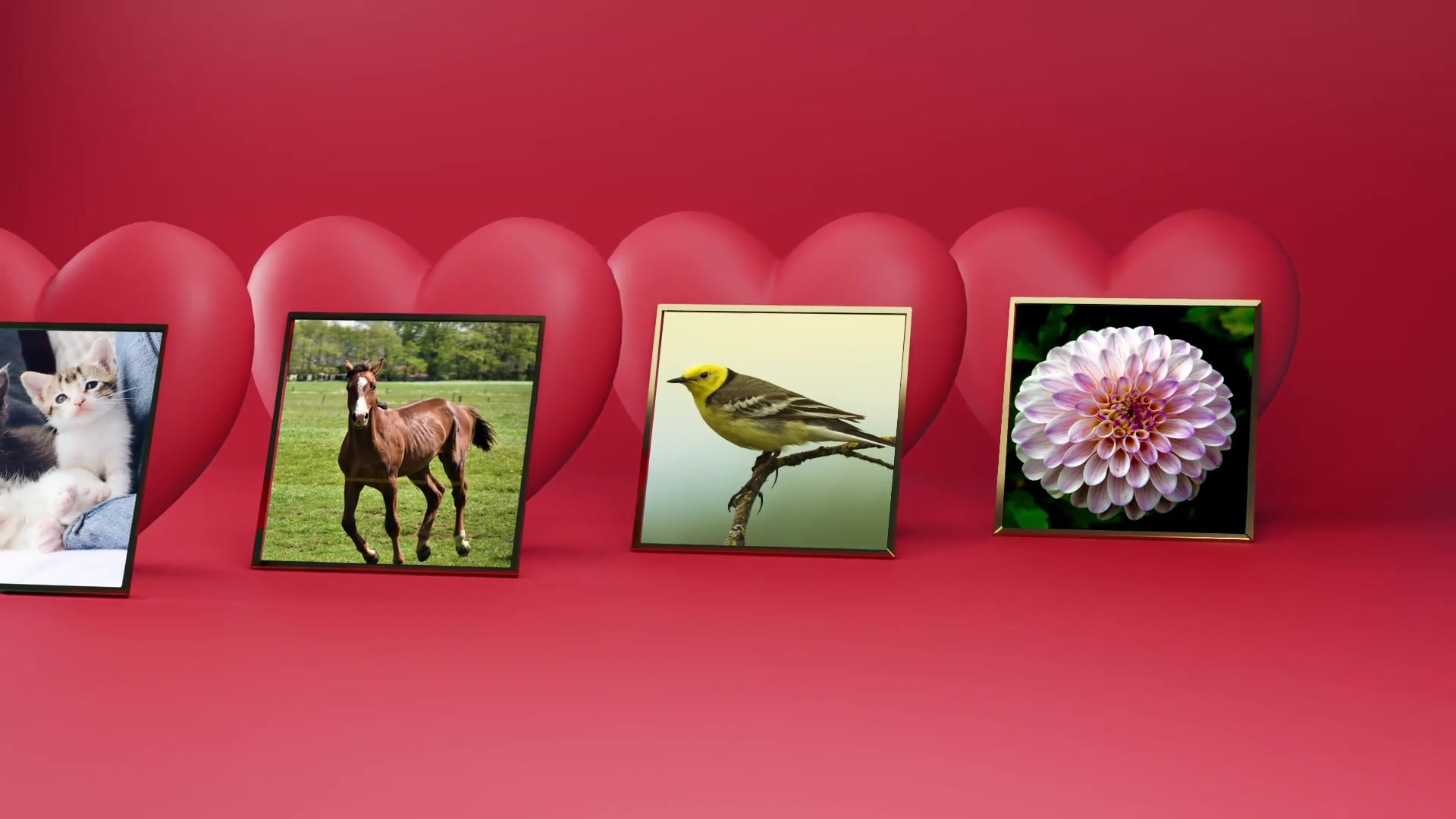 Love Photos Gallery Videohive 30469443 After Effects Image 10