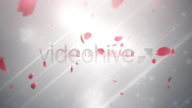 Love Quotes Valentine Project - Download Videohive 1390729