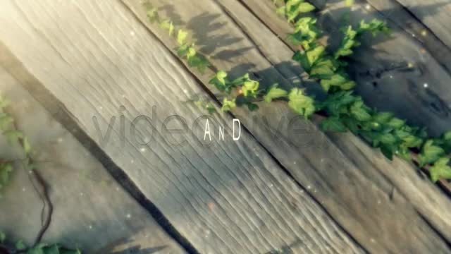 Love Vs Like Videohive 720872 After Effects Image 1