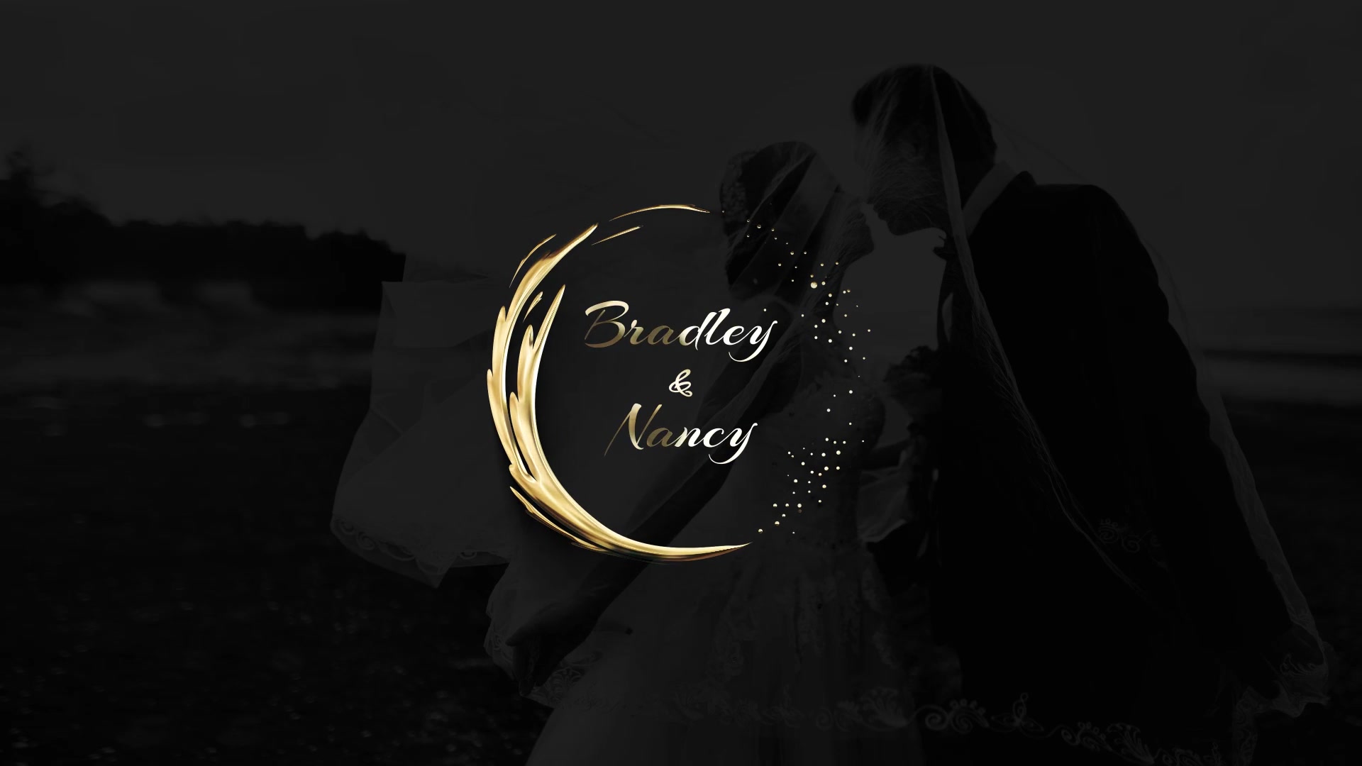 Lovely Gold and Silver Titles Videohive 27245885 Premiere Pro Image 3