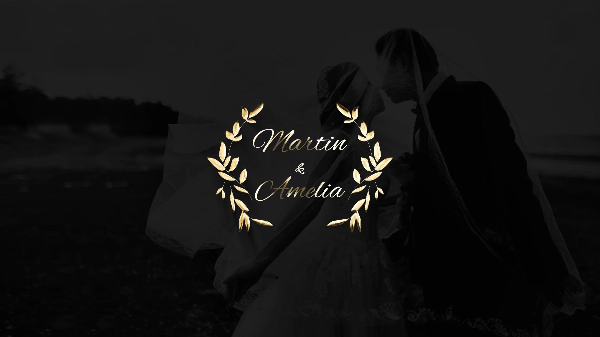 Lovely Gold and Silver Titles Videohive 27245885 Premiere Pro Image 4