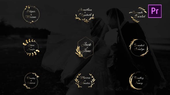 Lovely Gold and Silver Titles - Download Videohive 27245885