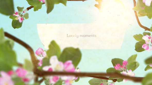 Lovely Moments - Download 20175420 Videohive