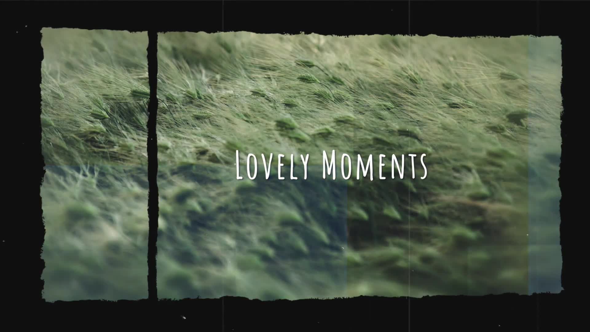 Lovely Moments | FCPX Videohive 38095131 Apple Motion Image 1