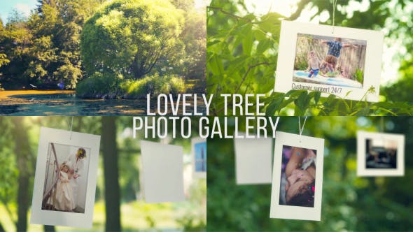 Lovely Tree Photo Gallery - Videohive Download 20385347