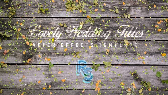 Lovely Wedding TItles - Videohive Download 16287295