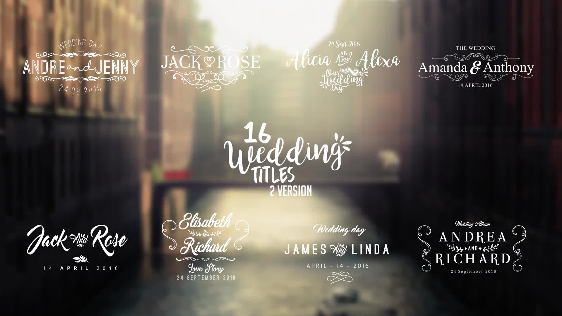 Lovely Wedding Titles Vol 2 Videohive 17100323 After Effects Image 1