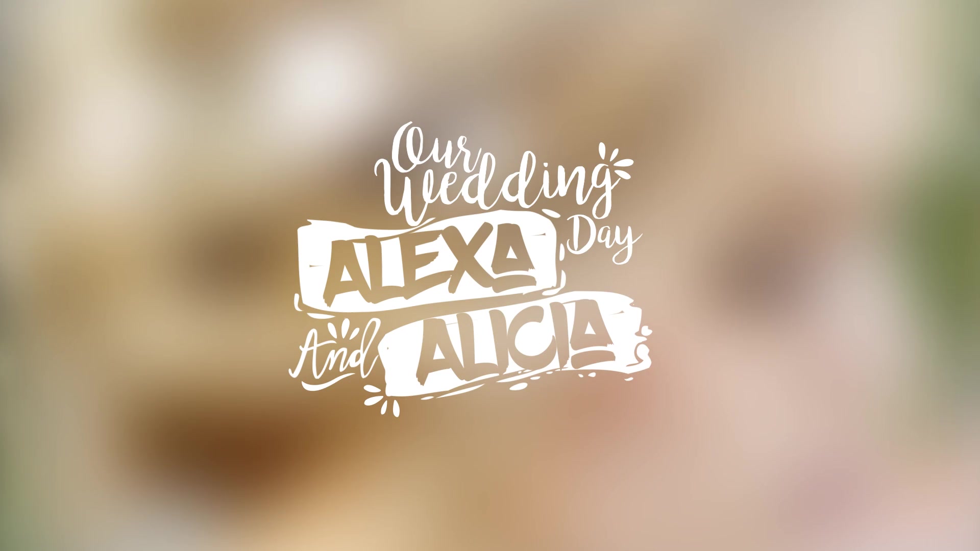 Lovely Wedding Titles Vol 2 Videohive 17100323 After Effects Image 8