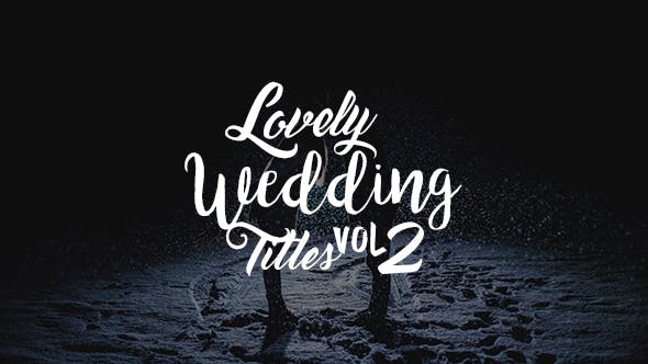 Lovely Wedding Titles Vol 2 - Download Videohive 17100323