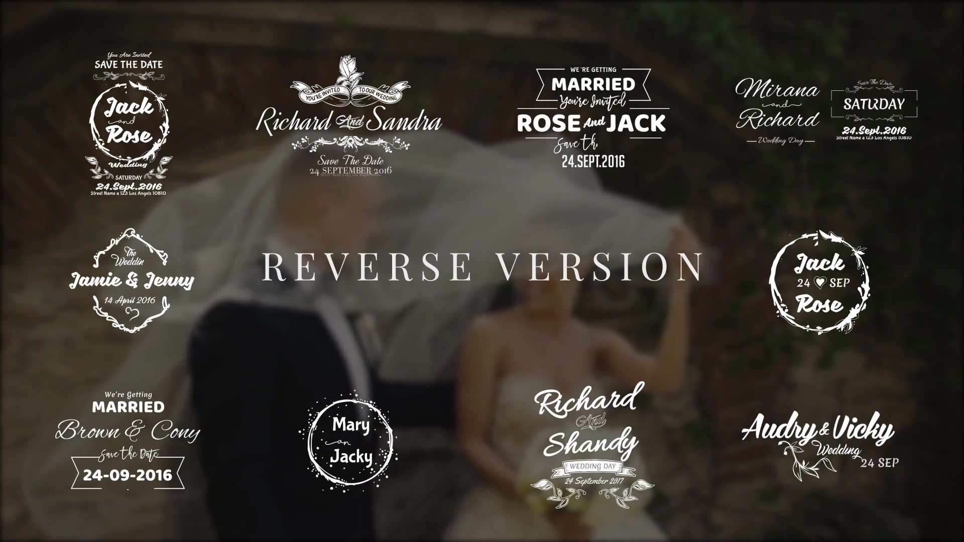 Lovely Wedding Titles Vol 3 Videohive 18152153 After Effects Image 12