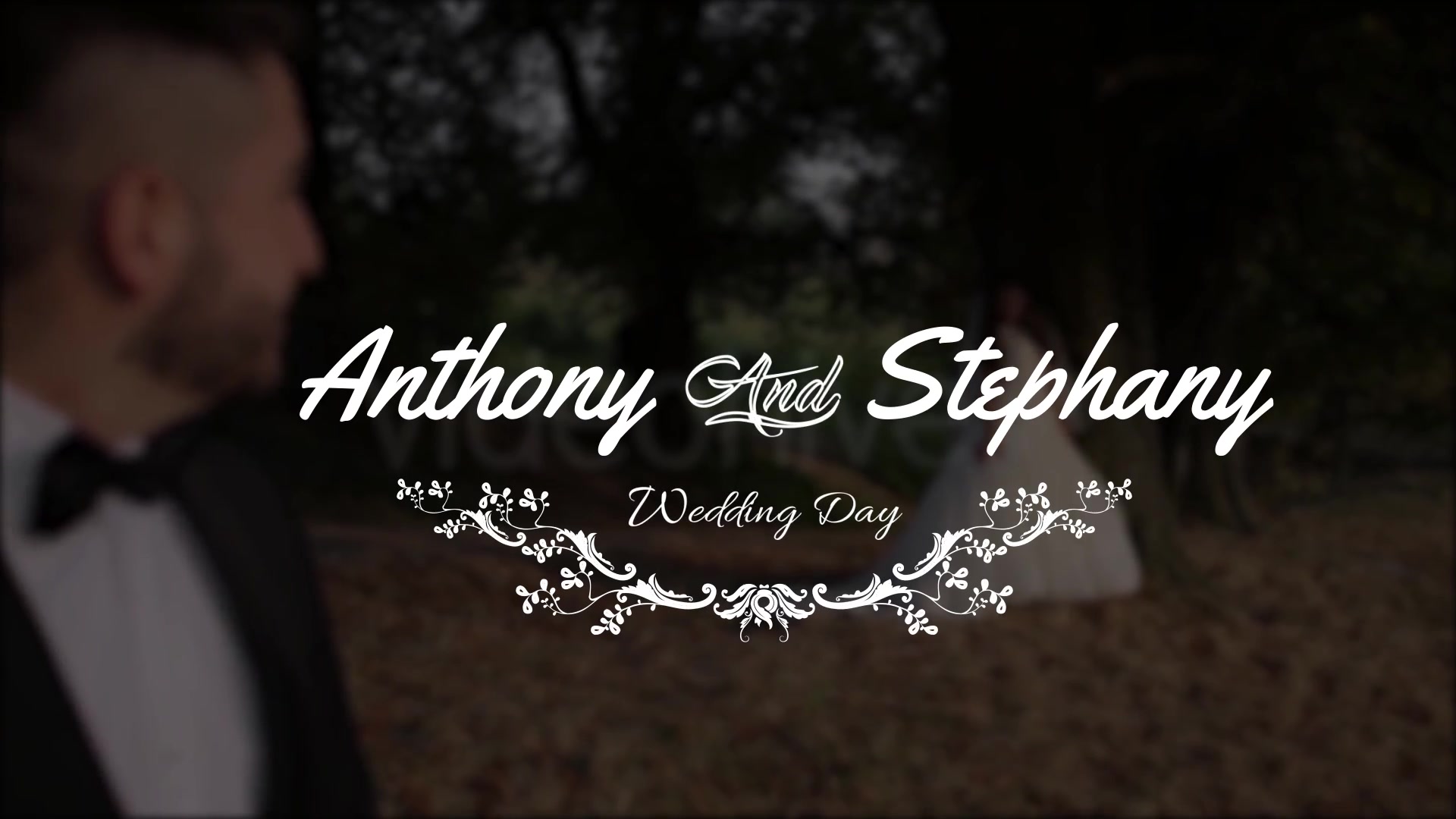 Lovely Wedding Titles Vol 3 Videohive 18152153 After Effects Image 7