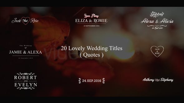 Lovely Wedding Titles Vol 4 - Videohive Download 18755539