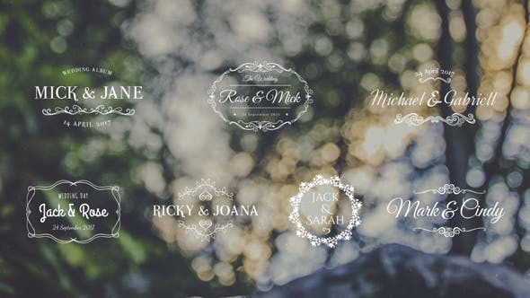 Lovely Wedding Titles Vol 5 - Videohive 19288063 Download