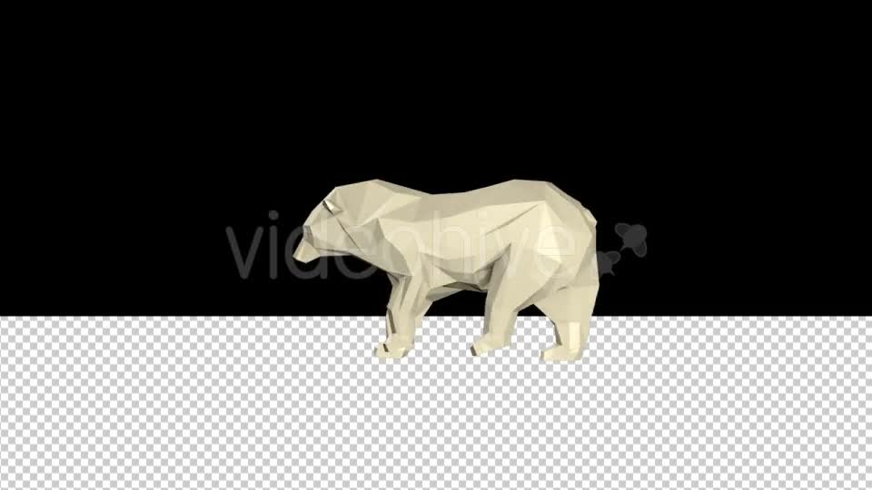 Low Poly 3D Bear - Download Videohive 21010580
