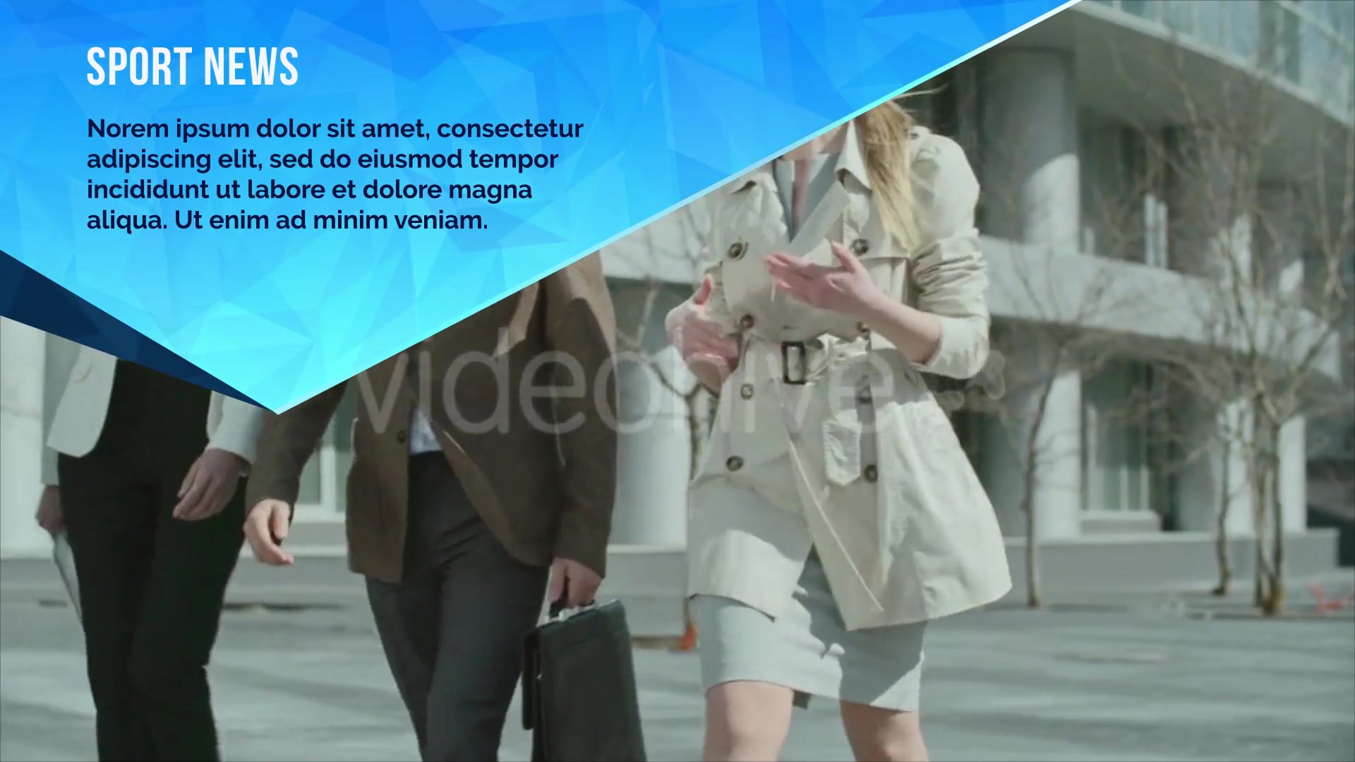 Lower Thirds Corporate Broadcast YouTube AE, PR Videohive 31482376 After Effects Image 8