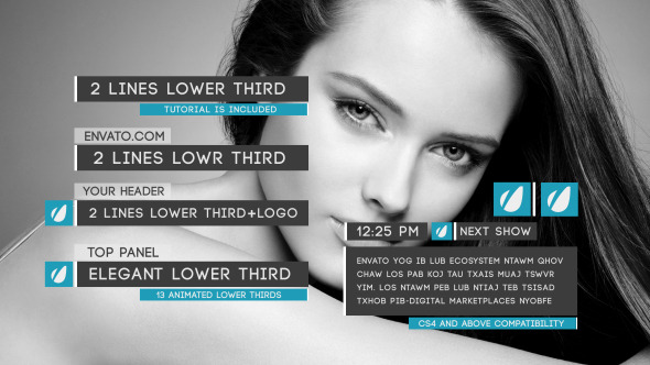 Lower Thirds - Download Videohive 6850204