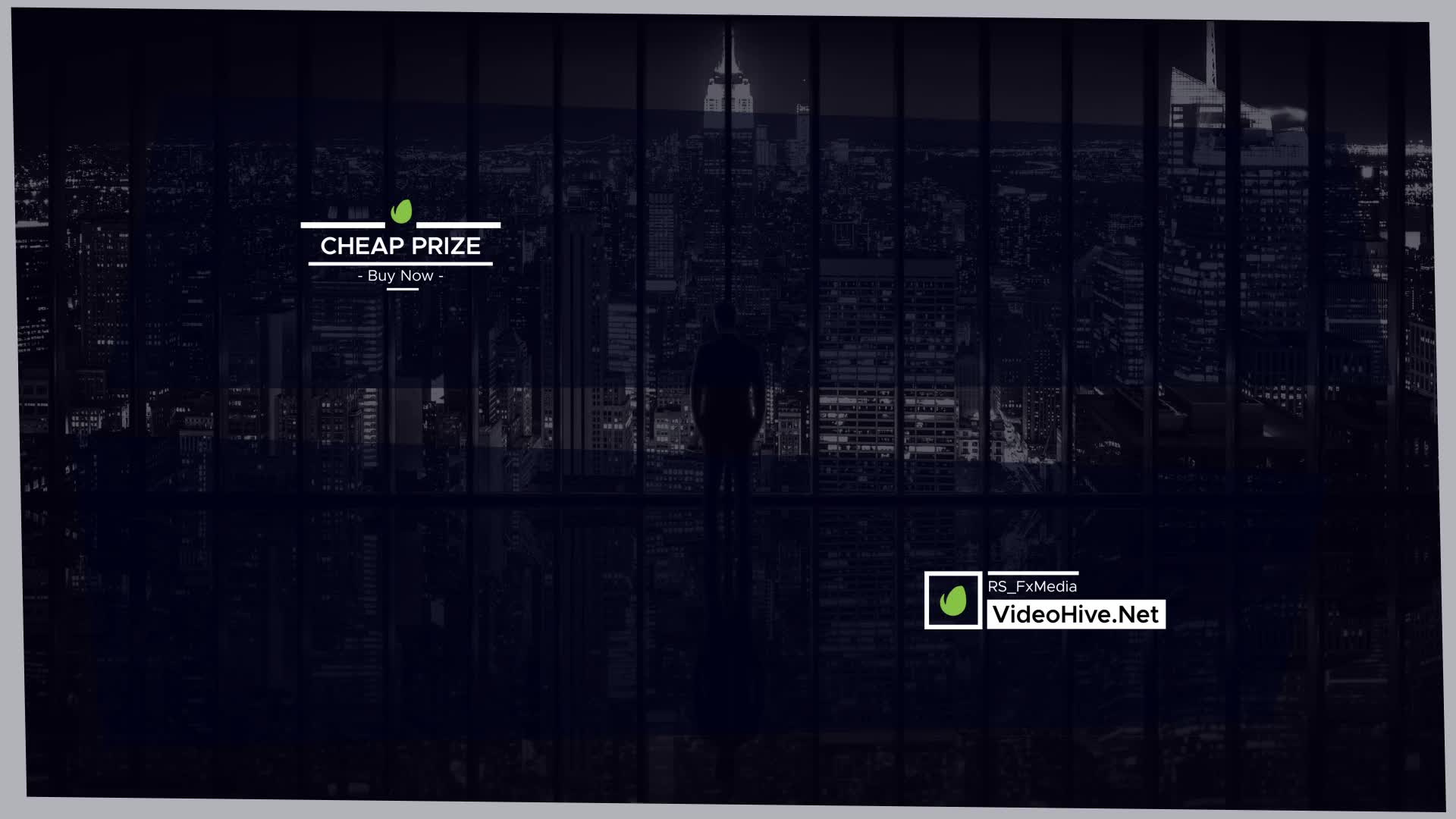 Lower Thirds | Logo Added 1.0 Videohive 31846818 After Effects Image 3