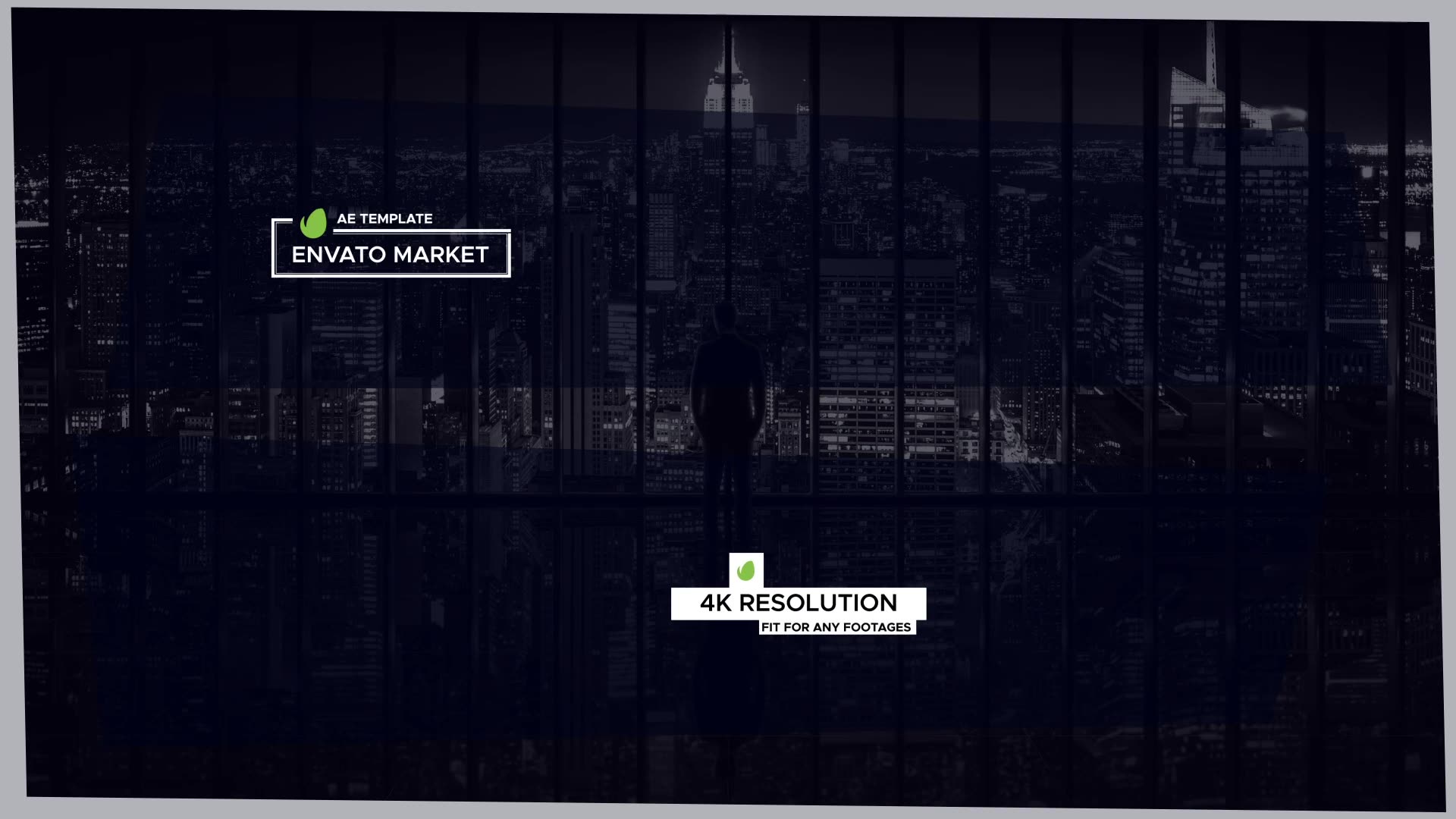 Lower Thirds | Logo Added 1.0 Videohive 31846818 After Effects Image 4