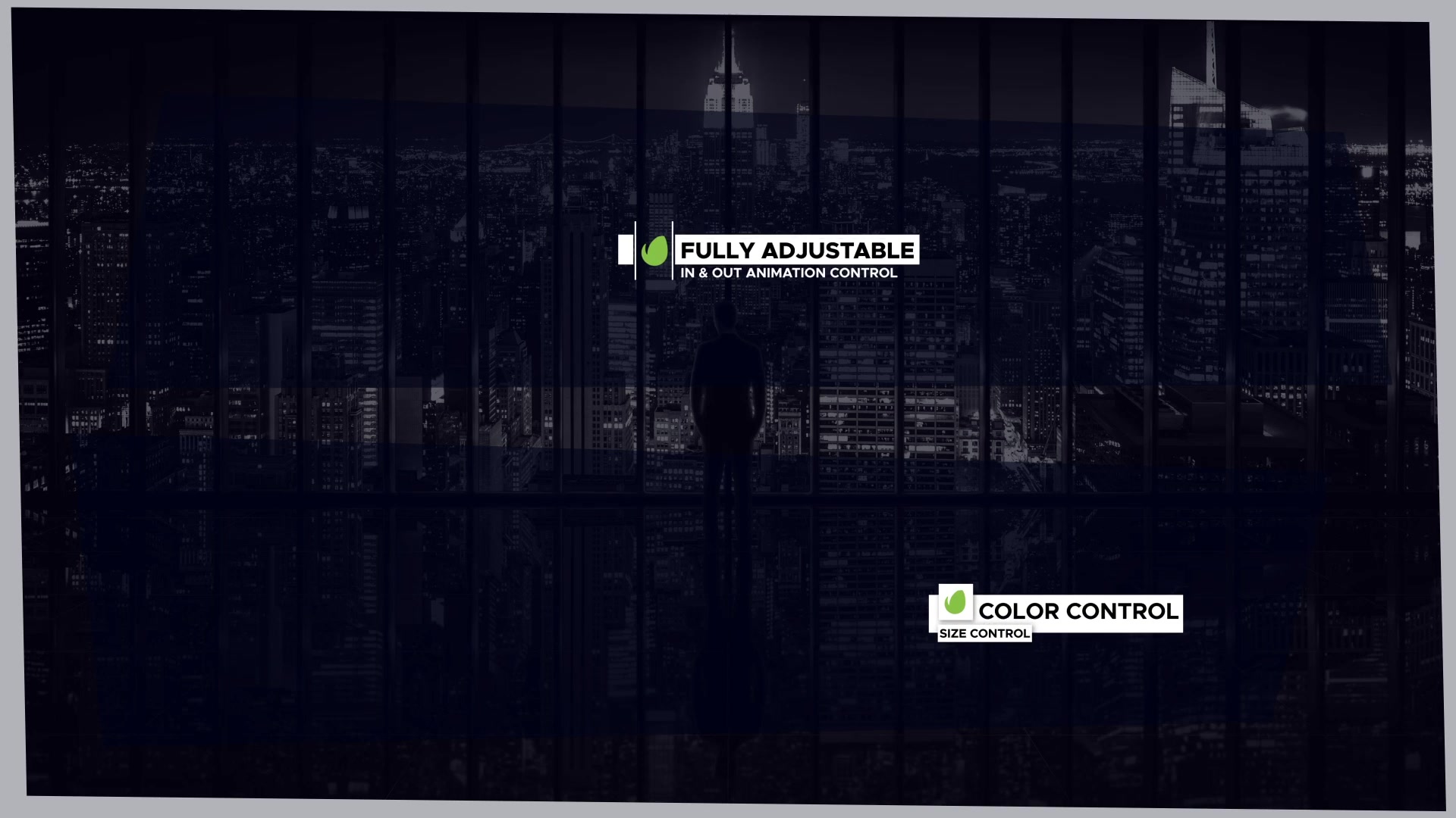 Lower Thirds | Logo Added 1.0 Videohive 31846818 After Effects Image 8