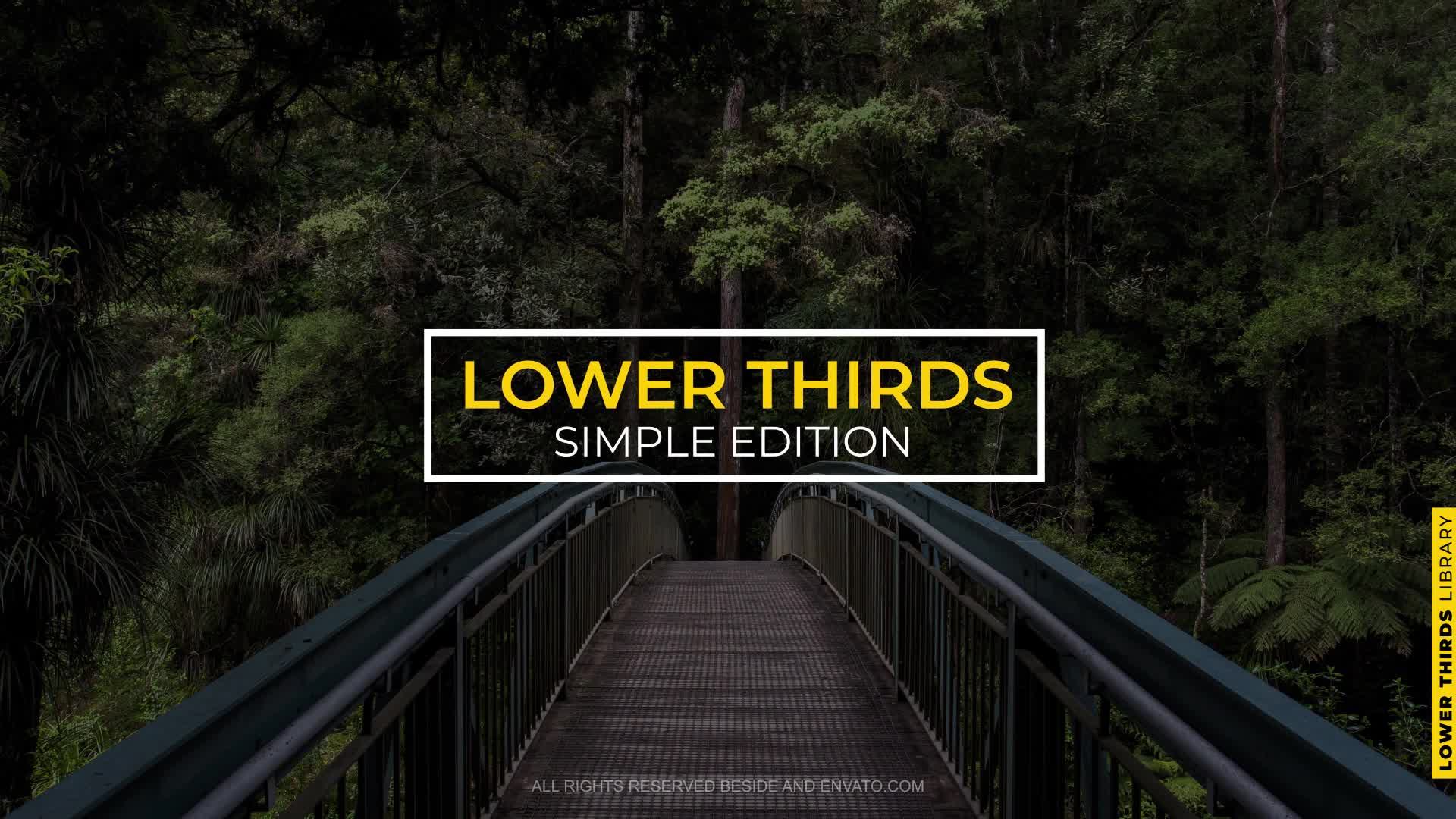 Lower Thirds Simple Edition | AE Videohive 35755964 After Effects Image 1