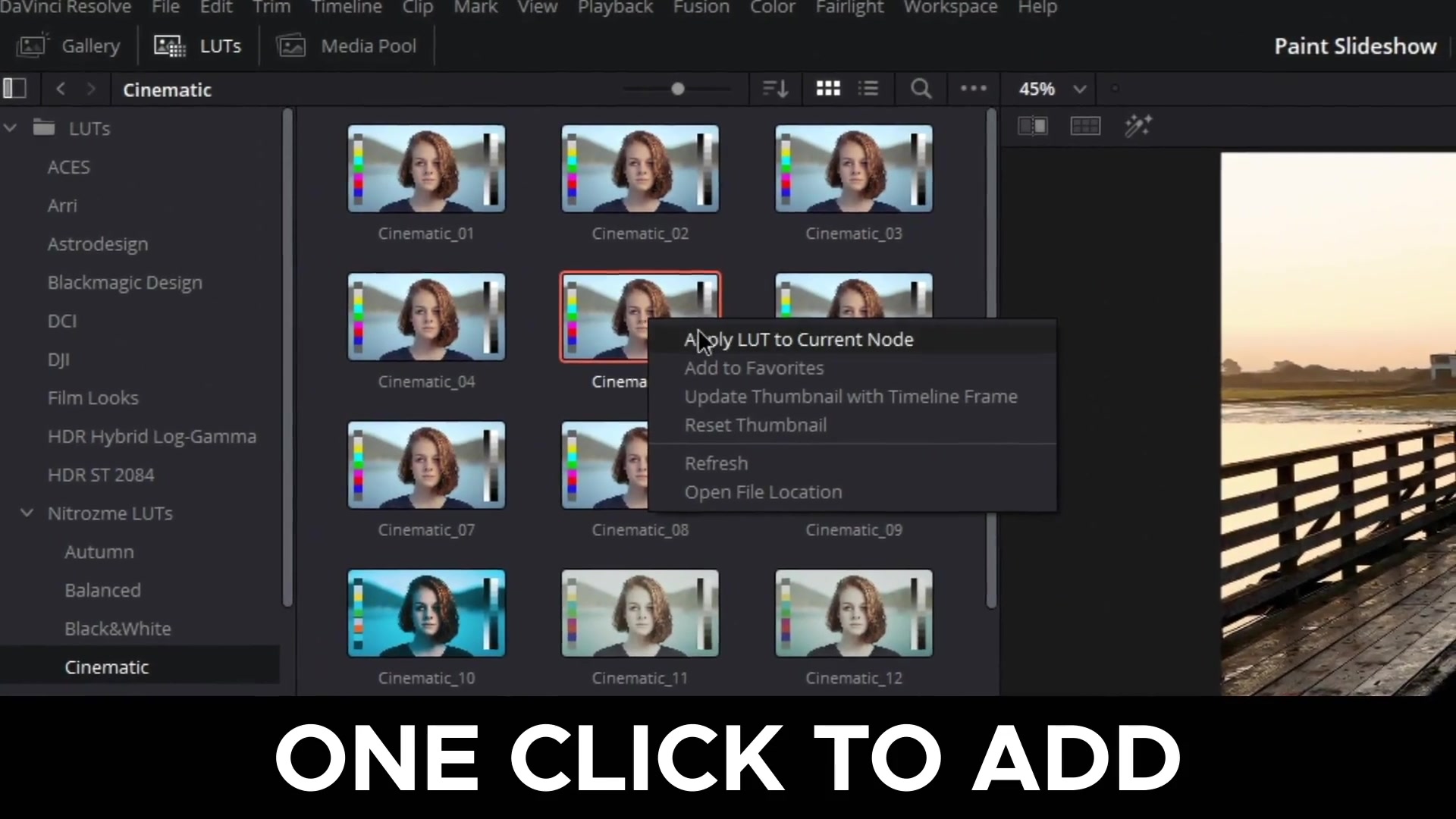 LUT Color Presets for DaVinci Resolve Videohive 31728553 DaVinci Resolve Image 3