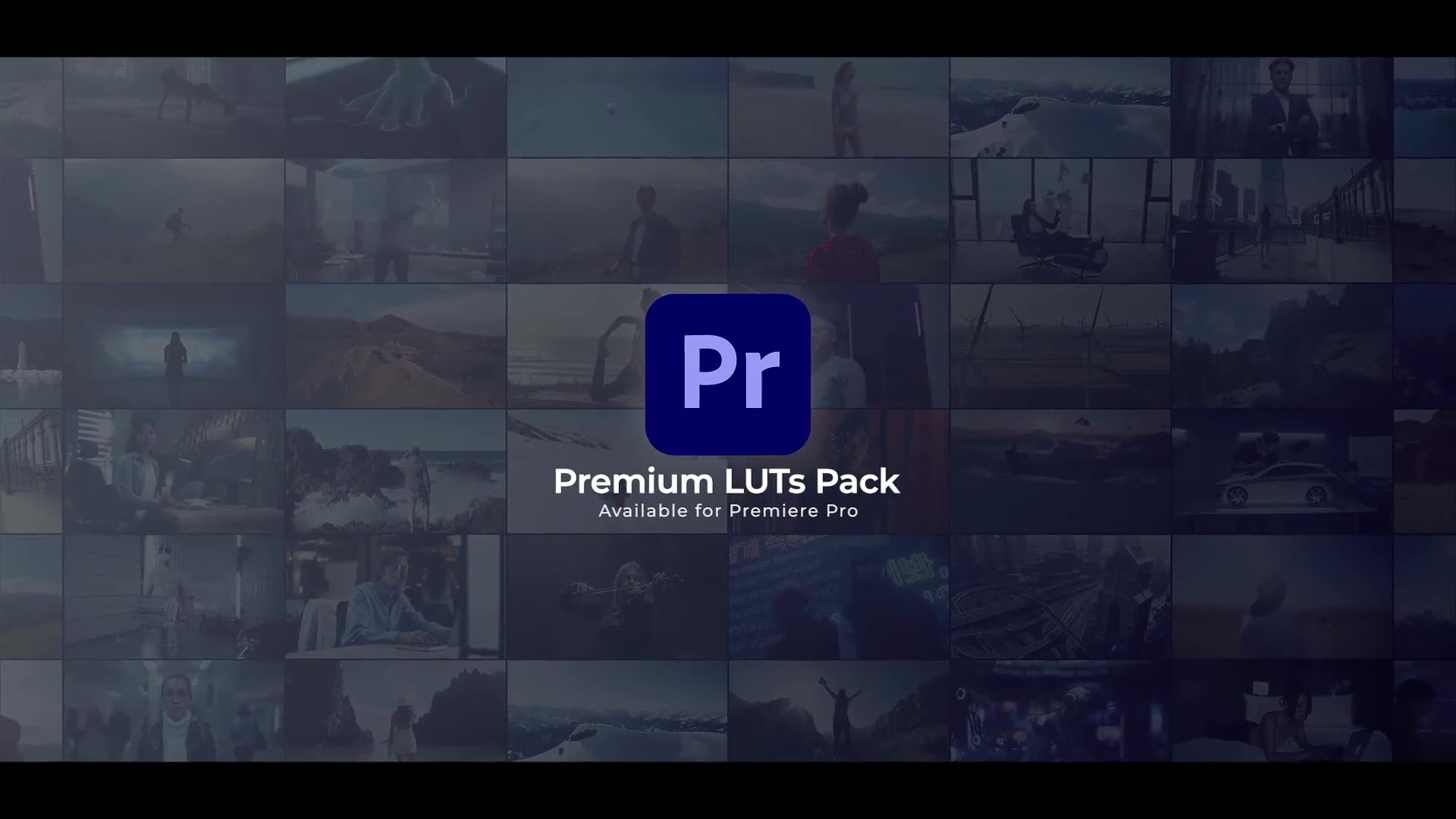 LUT Color Presets | Premiere Pro Videohive 43193572 Premiere Pro Image 11