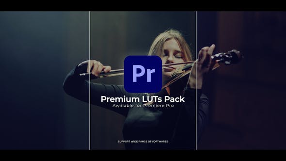 LUT Color Presets | Premiere Pro - 43193572 Videohive Download