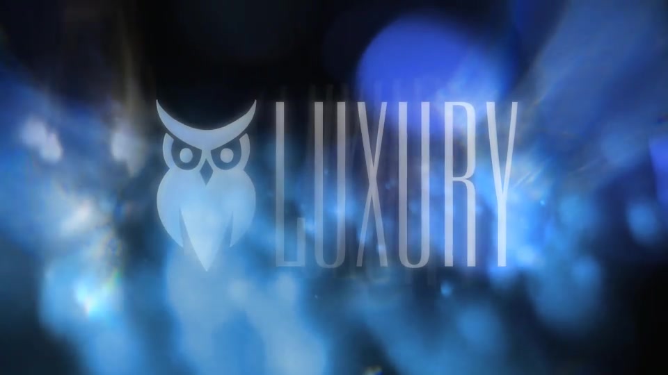 Luxurious Glam Logo Videohive 31019815 Premiere Pro Image 3