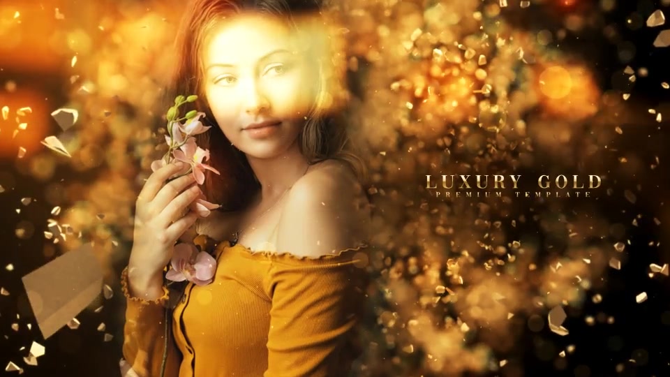 Luxury Brand Videohive 31376093 After Effects Image 4