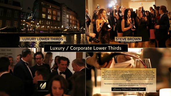 Luxury / Corporate Lower Thirds Package - Download Videohive 4892930