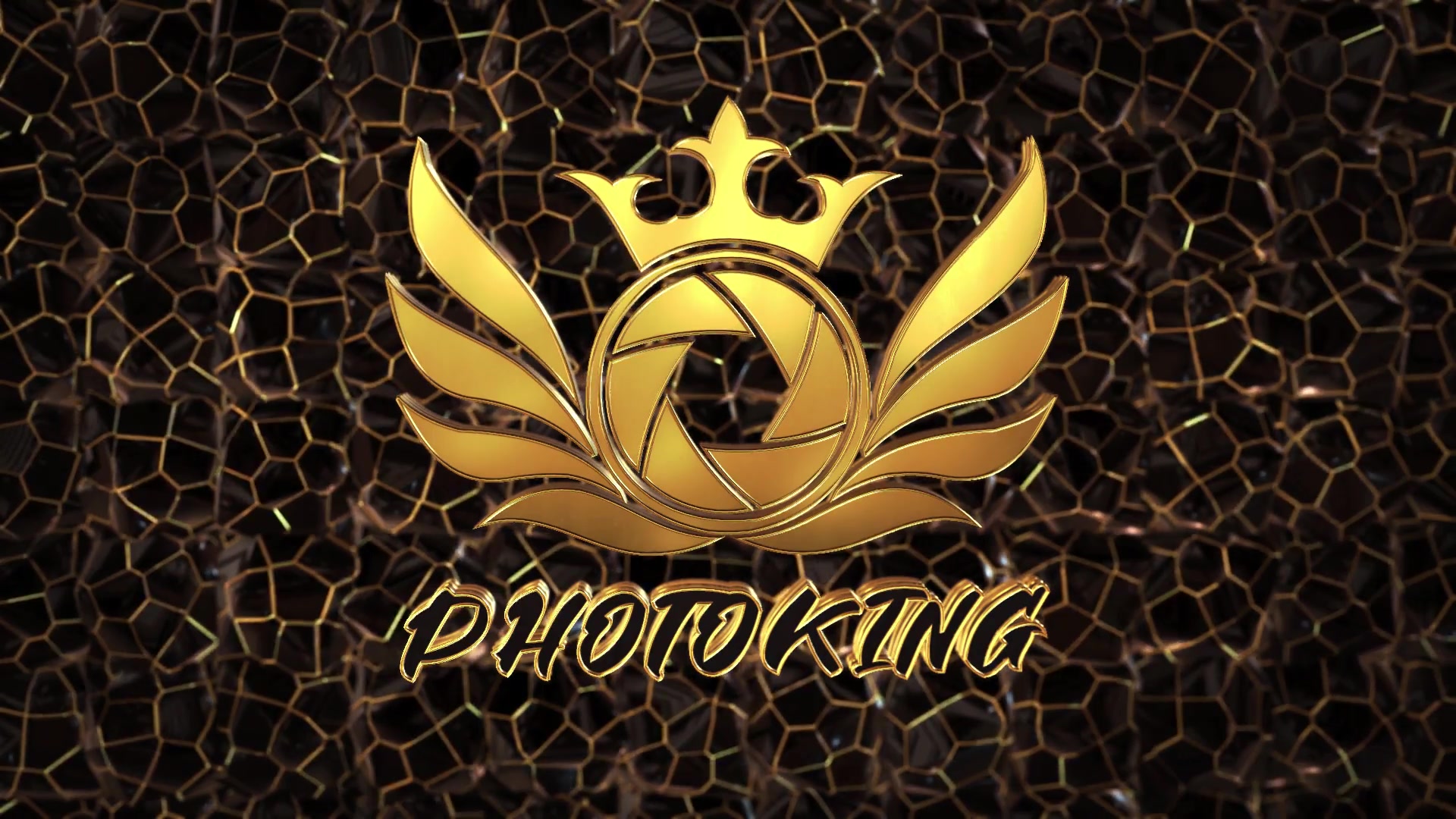 Luxury Royal Logo & Intro Videohive 34796411 After Effects Image 12